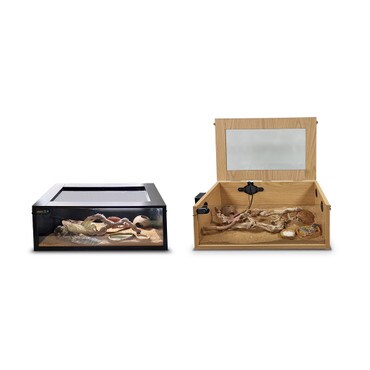 HabiStat Black and Oak Terrainium
